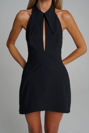Dilen dress